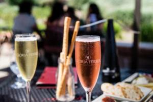 水北小学篮球联赛成绩单，成就与展望水北小学篮球联赛成绩单