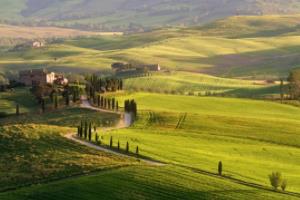 江西省篮球联赛第五场精彩回顾江西省篮球联赛第五场